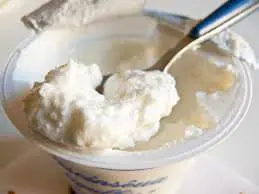 Polenta porri e prescinseua