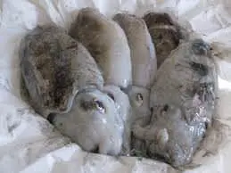 seppie con i carciofi