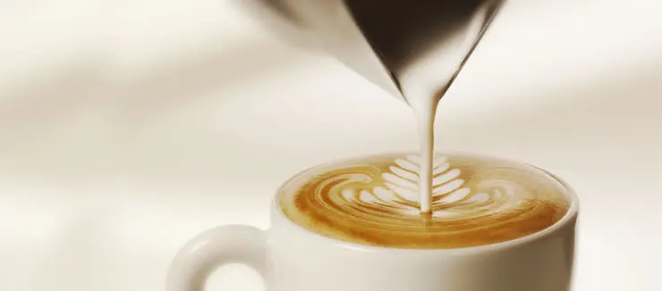 Focaccia e cappuccino, Stranieri :Il cappuccino a regola d'arte come si prepara? Ma focaccia e cappuccino sono un must ligure.