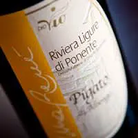 Il Pigato di Albenga è una delle peculiartià liguri in tema di vini.