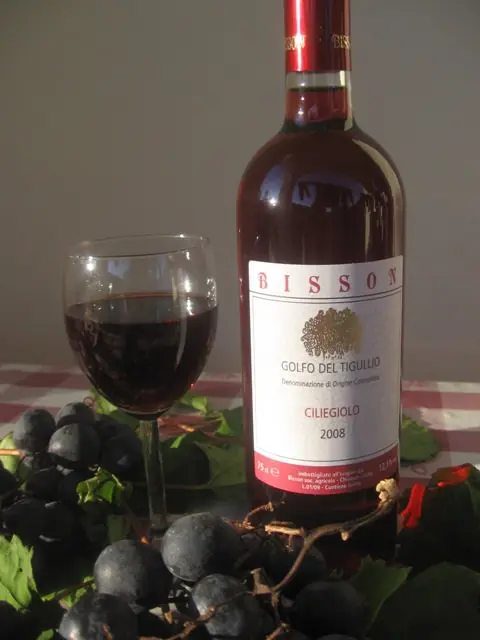 Vino etichetta da conoscere,Ciliegiolo e non solo vino al ristorante ma quando il ricarico è corretto?