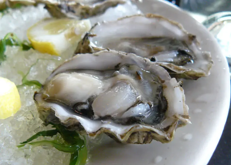 In Darsena Oyster Bar. conoscere le ostriche