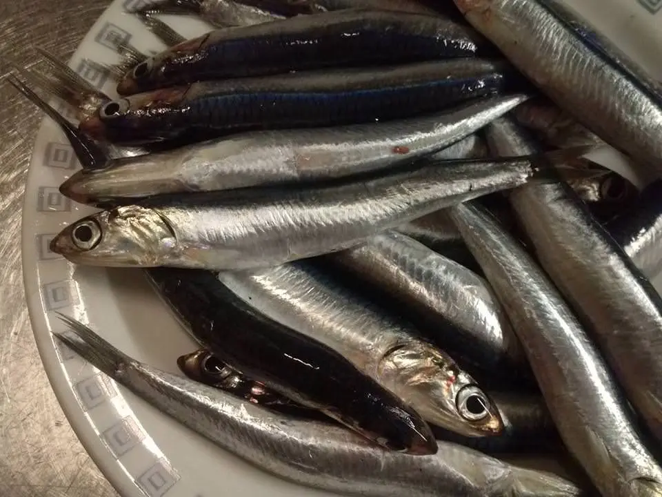 Coste di bietole con acciughe, Acciughe e patate in tegame