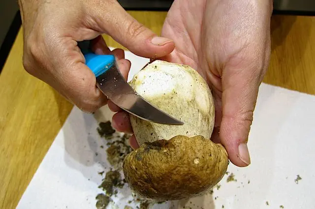 Come si puliscono i funghi?