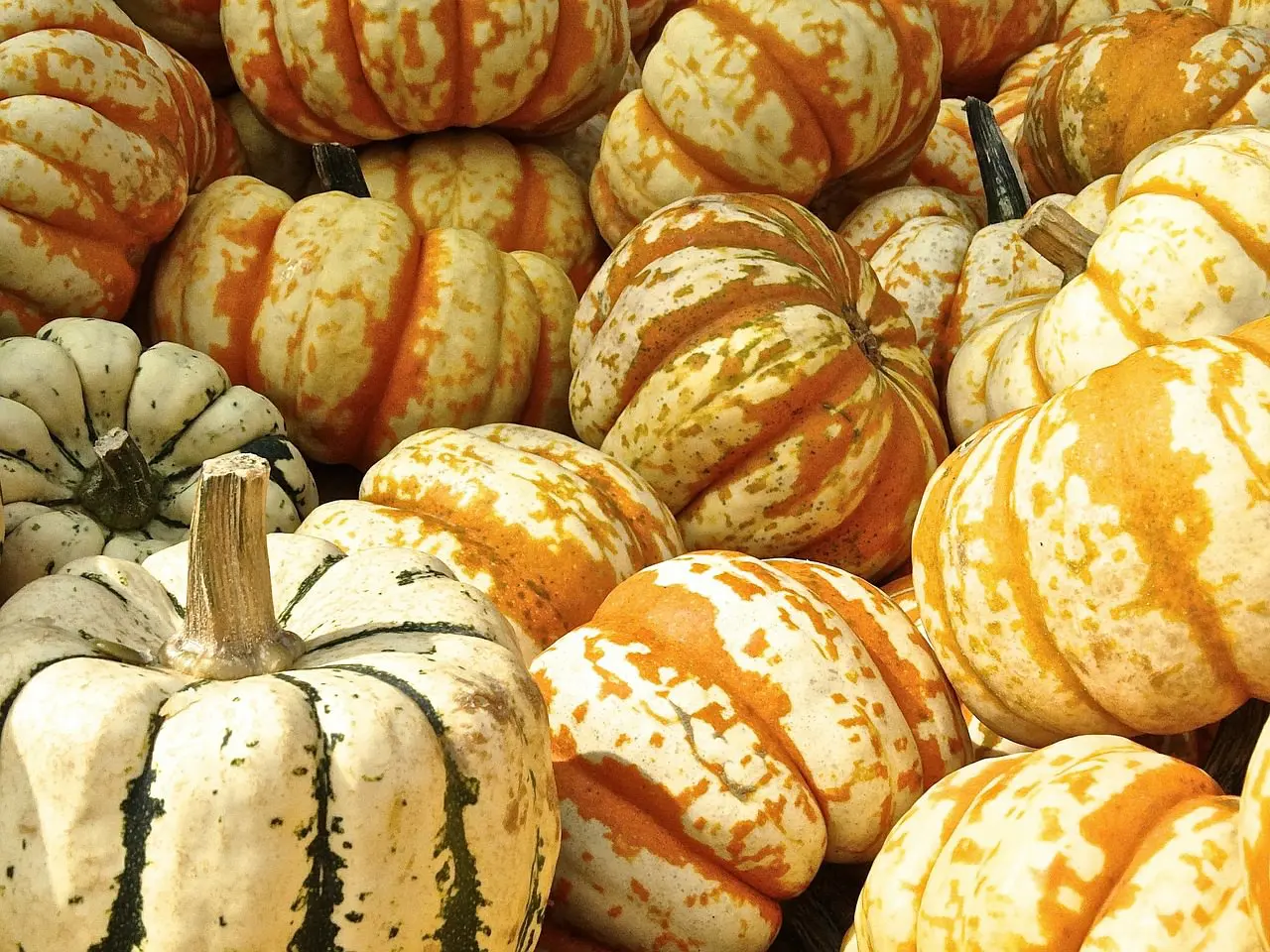 Verdure a novembre