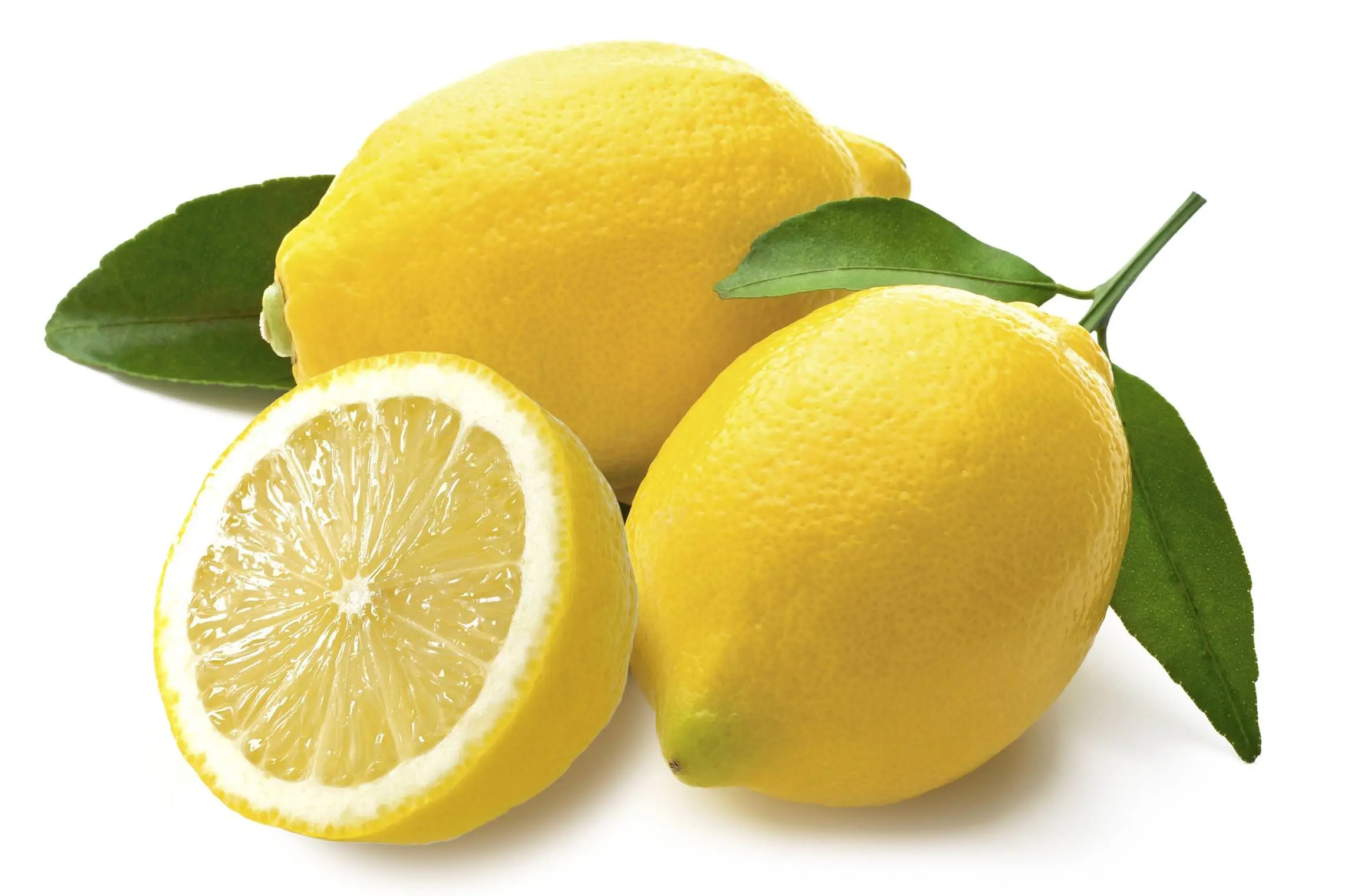 tagliare un limone, limoni sostenibili,