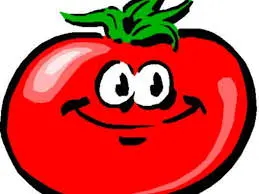 Una rosa al pomodoro