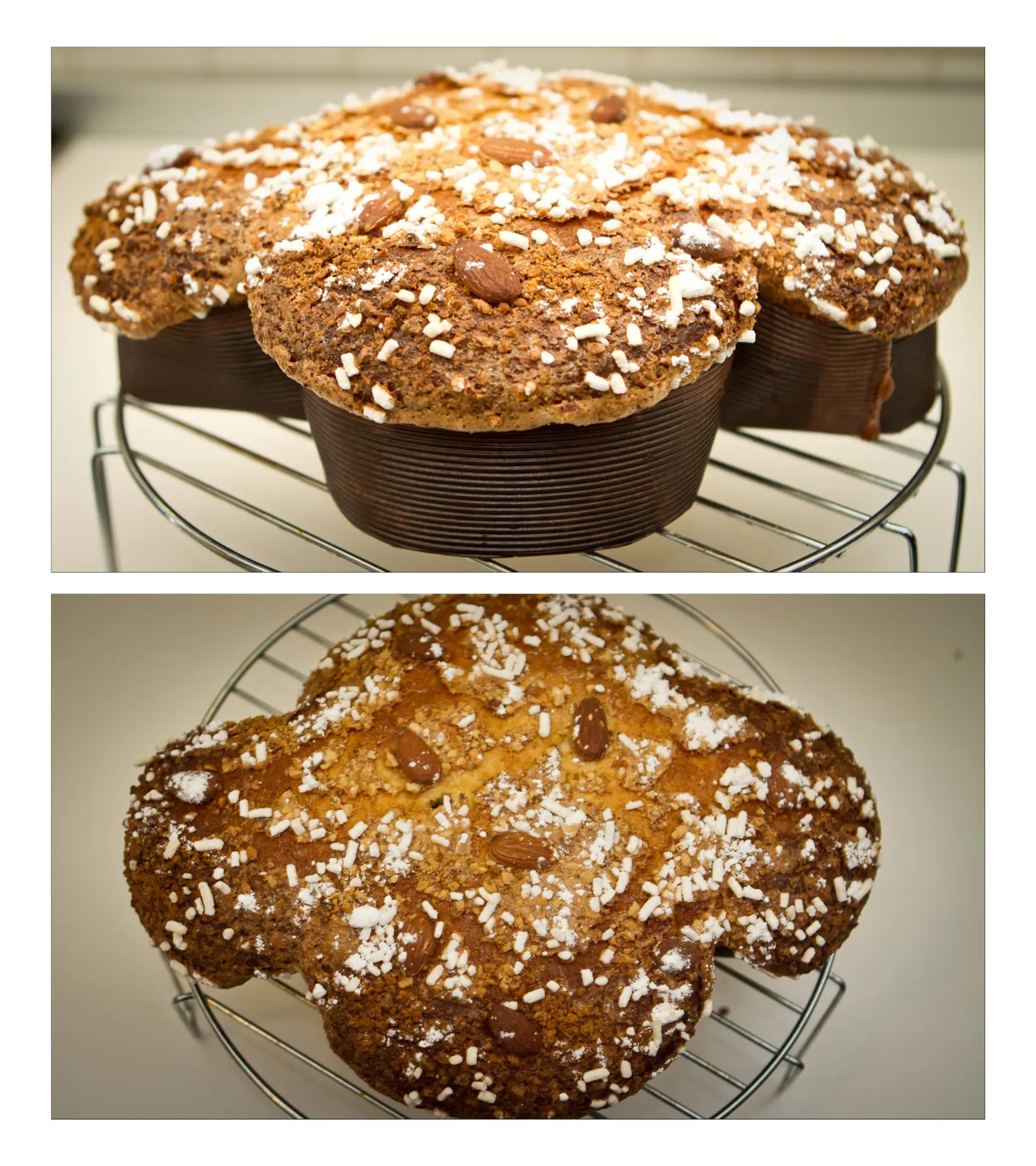 colomba pasquale