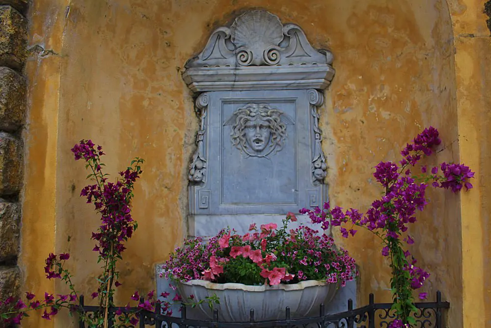 Via Luccoli in fiiore