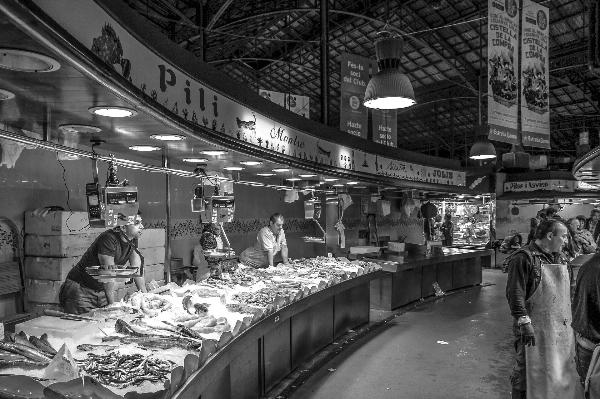 ciupin, pesci a maggio, Mercato del pesce, salsa marinara