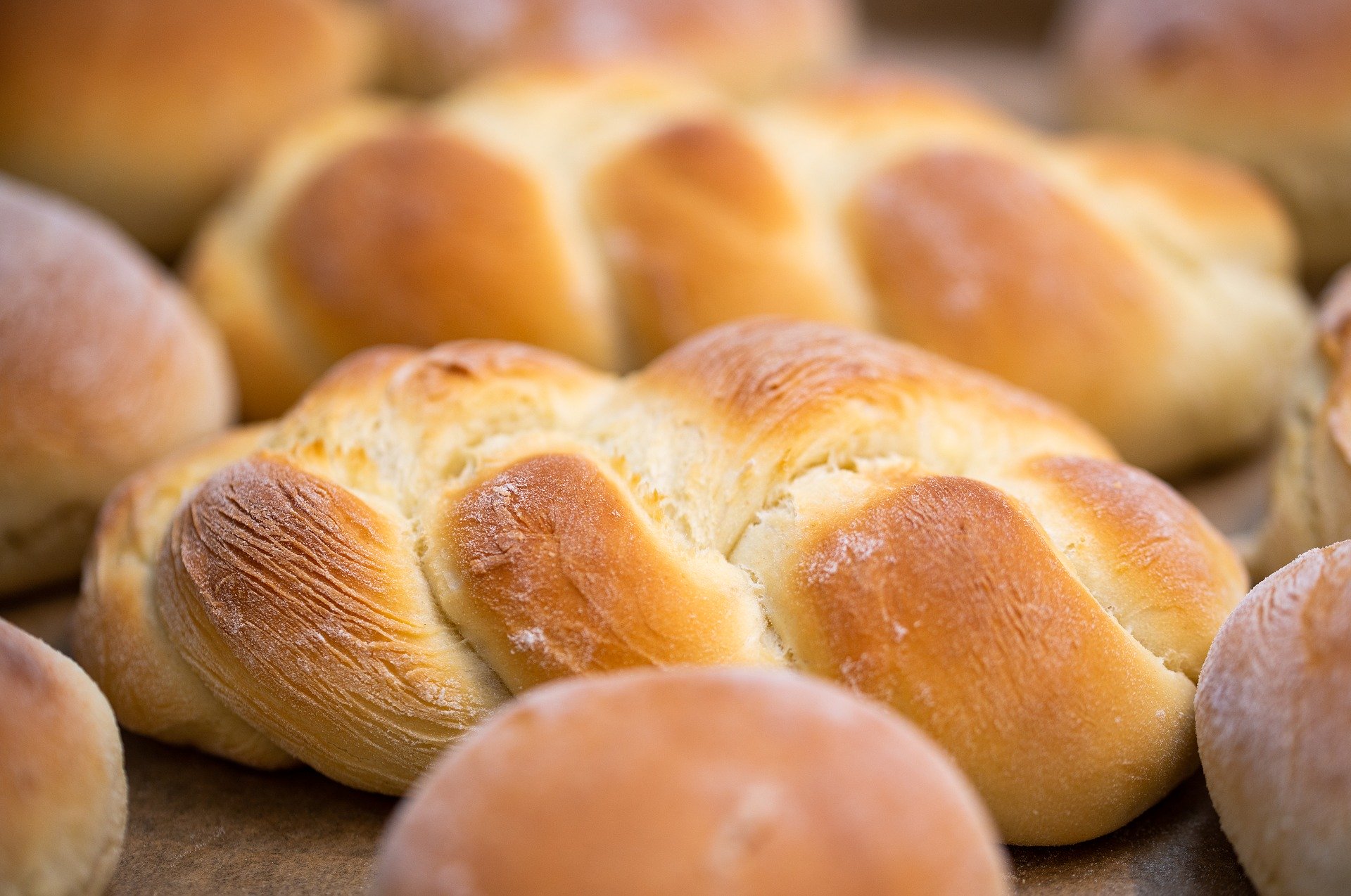 pane secco