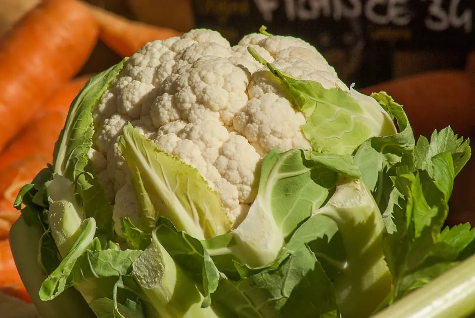 cavolfiore in salsa d'acciughe