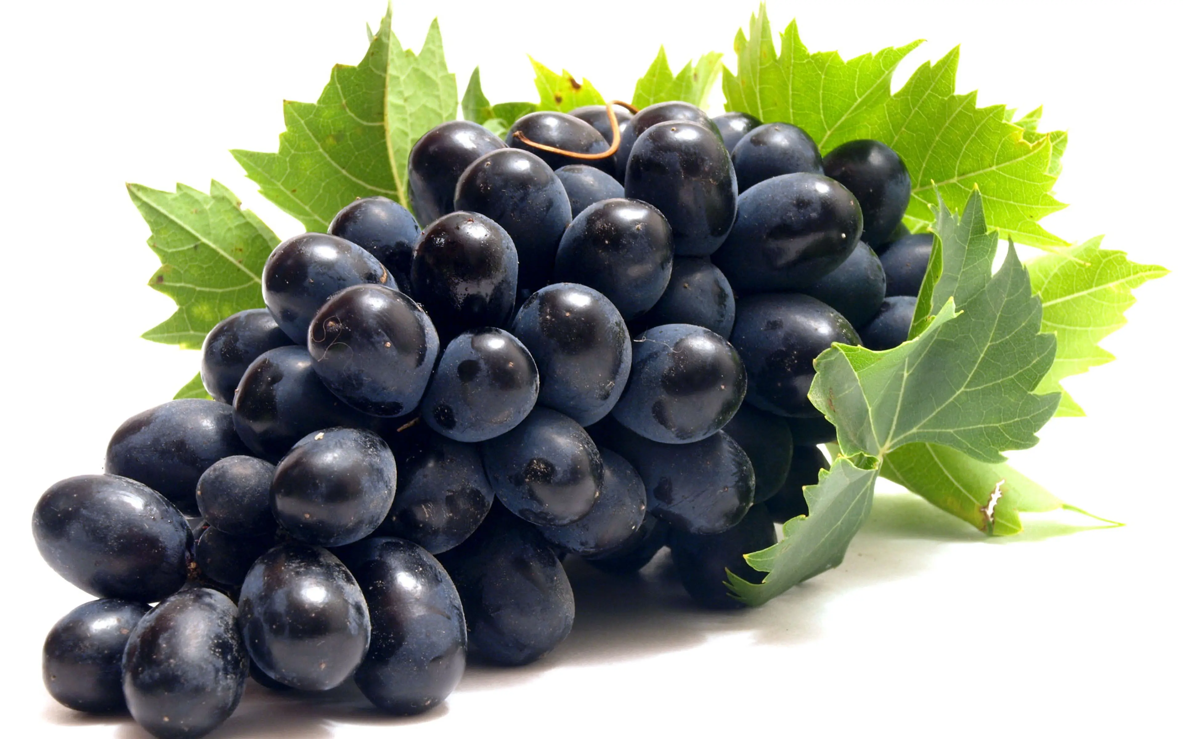 FRUTTA E VERDURA A SETTEMBRE