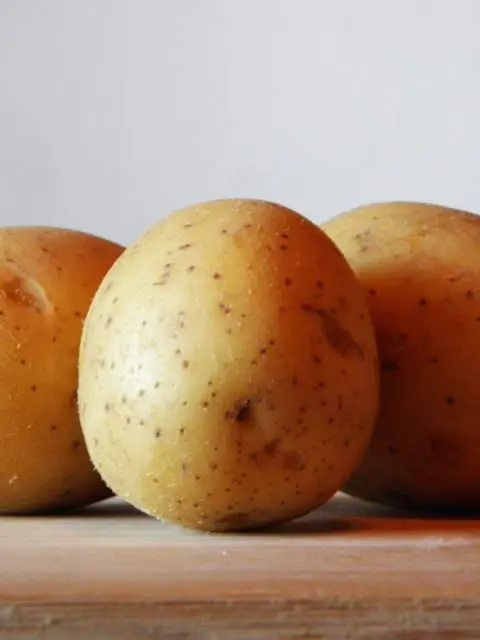 polpettone di fagiolini