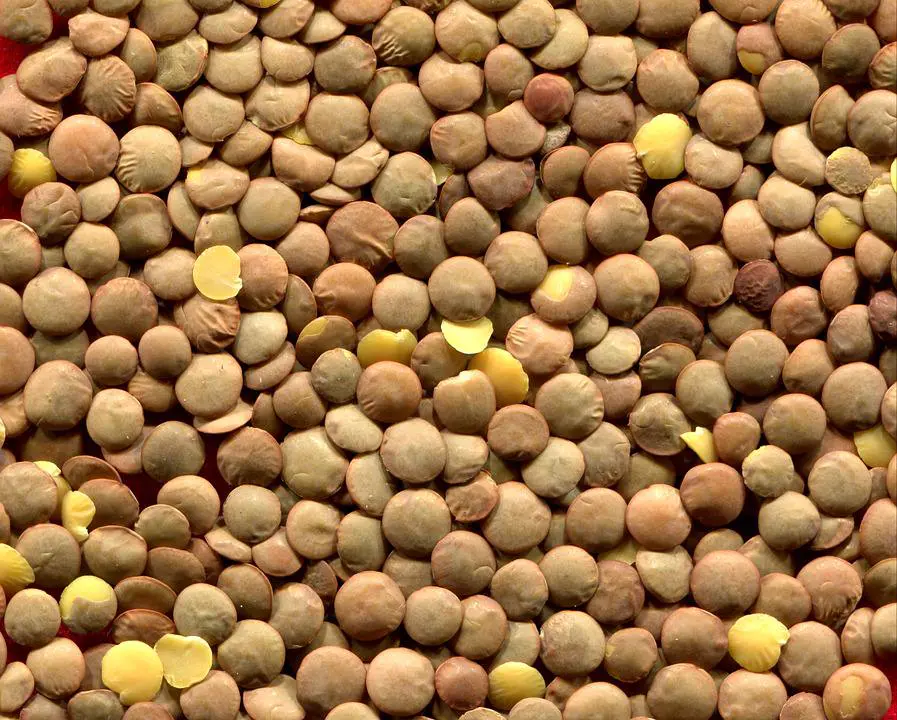 lenticchie