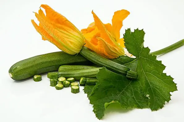 muscoli e zucchine