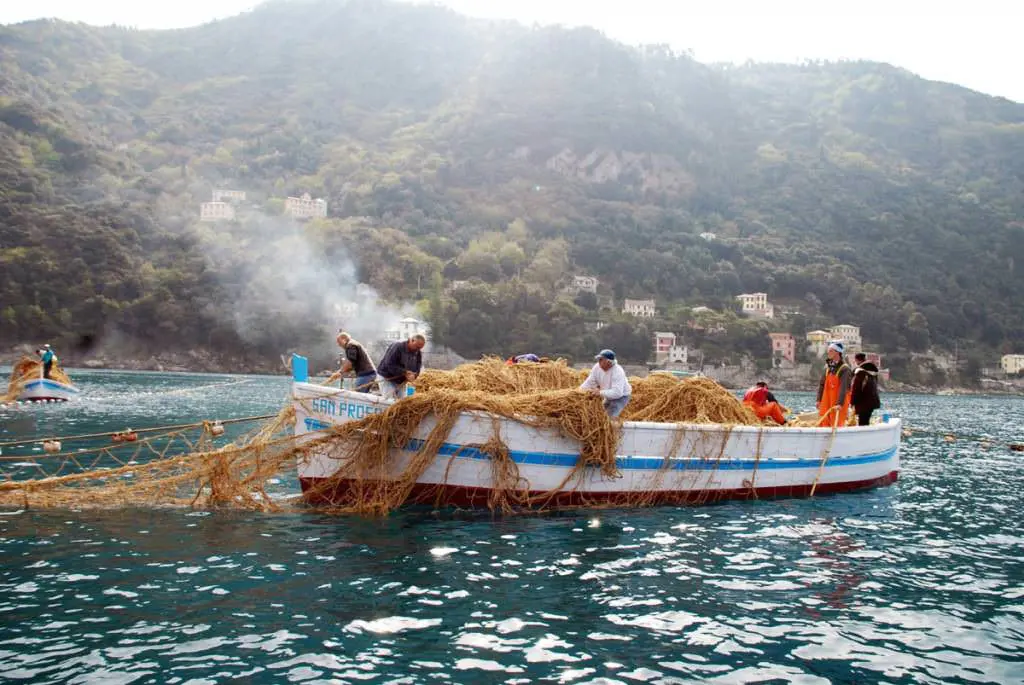 Tonnarella di Camogli