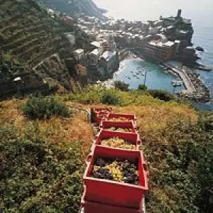 Cinque Terre