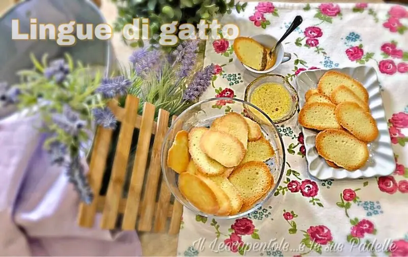 Lingue di gatto