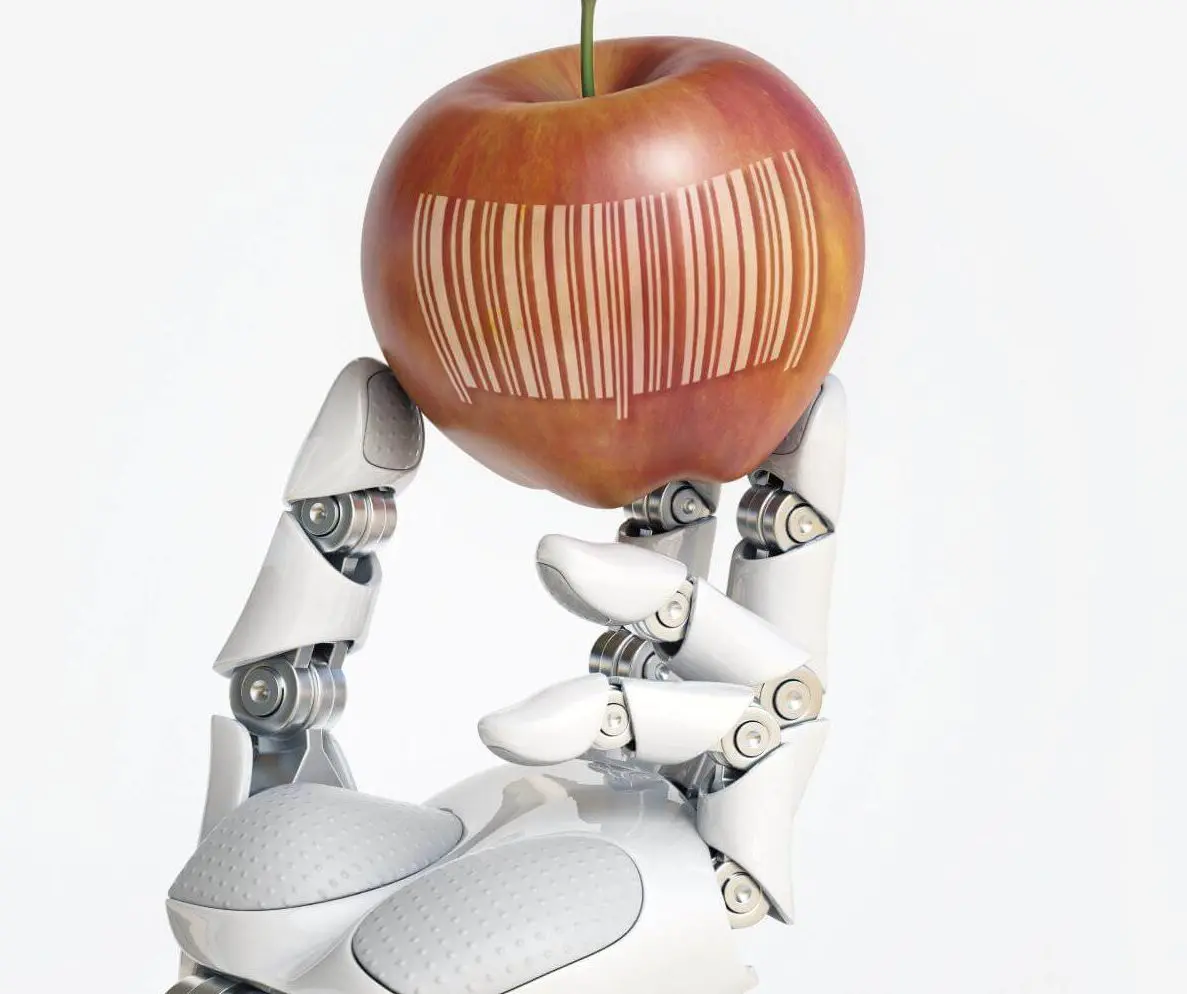 Cibo del futuro