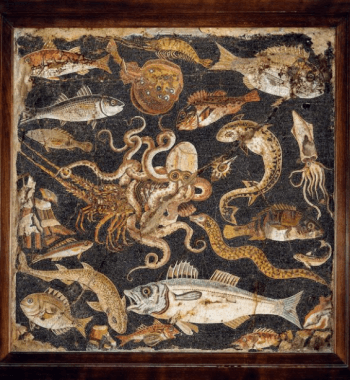 Garum genovese