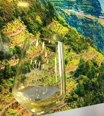Vinitaly 2019, benvenutoindiretta,