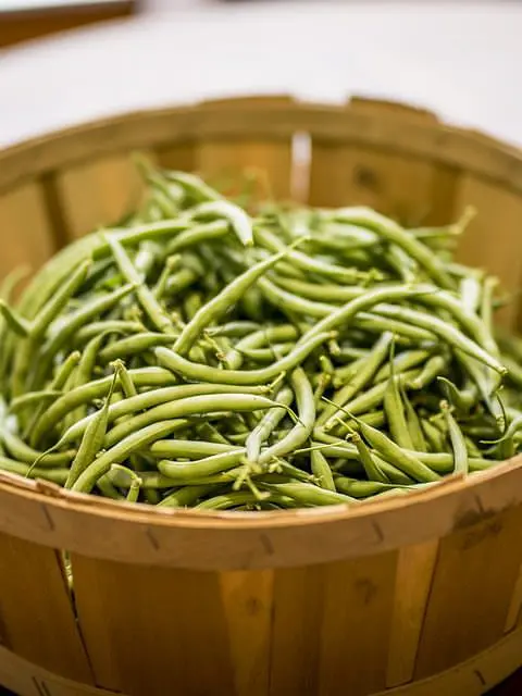polpettone di fagiolini
