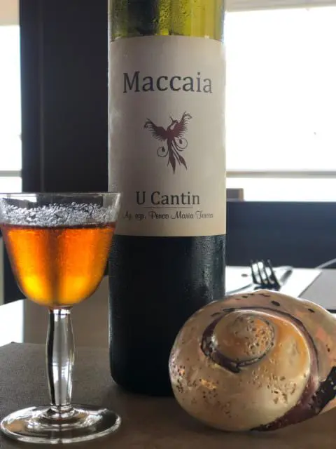 Maccaia