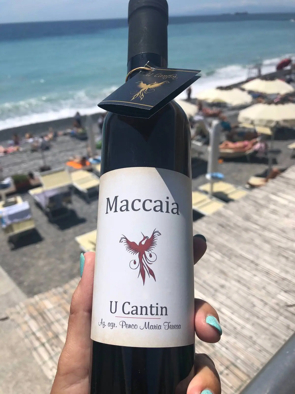 Maccaia