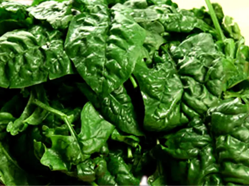 spinaci alla genovese