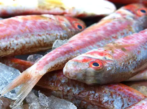 triglie alla genovese