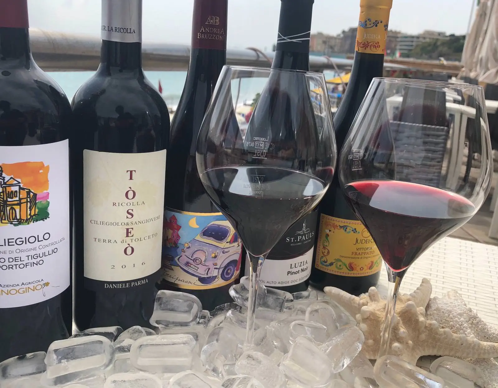 vino rosso freddo
