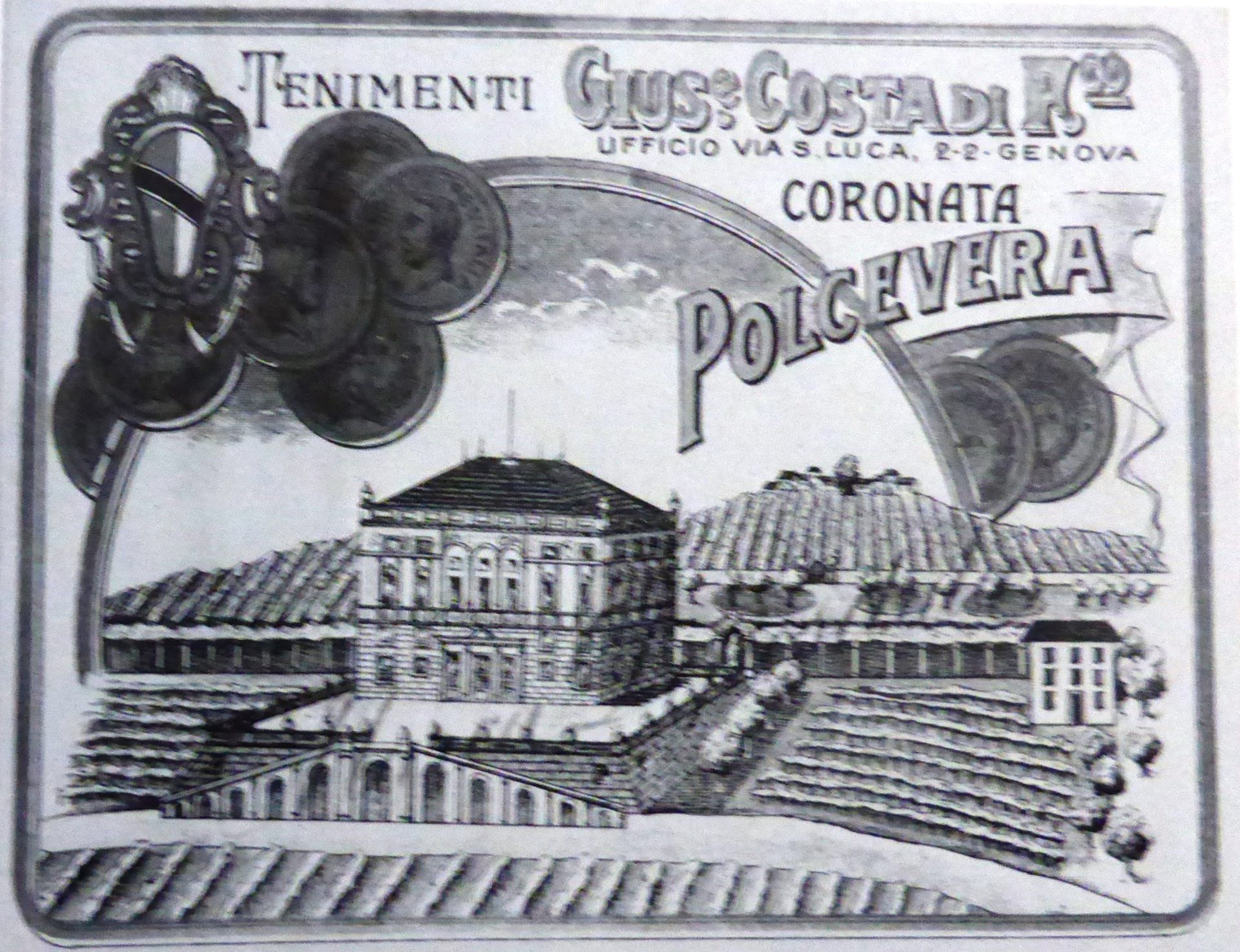 Vino di Coronata