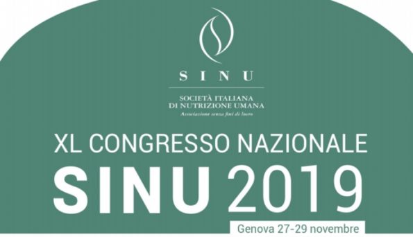 sinu 2019