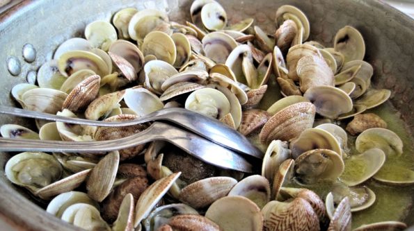 pesce di novembre