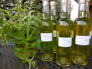 Erba Luigia