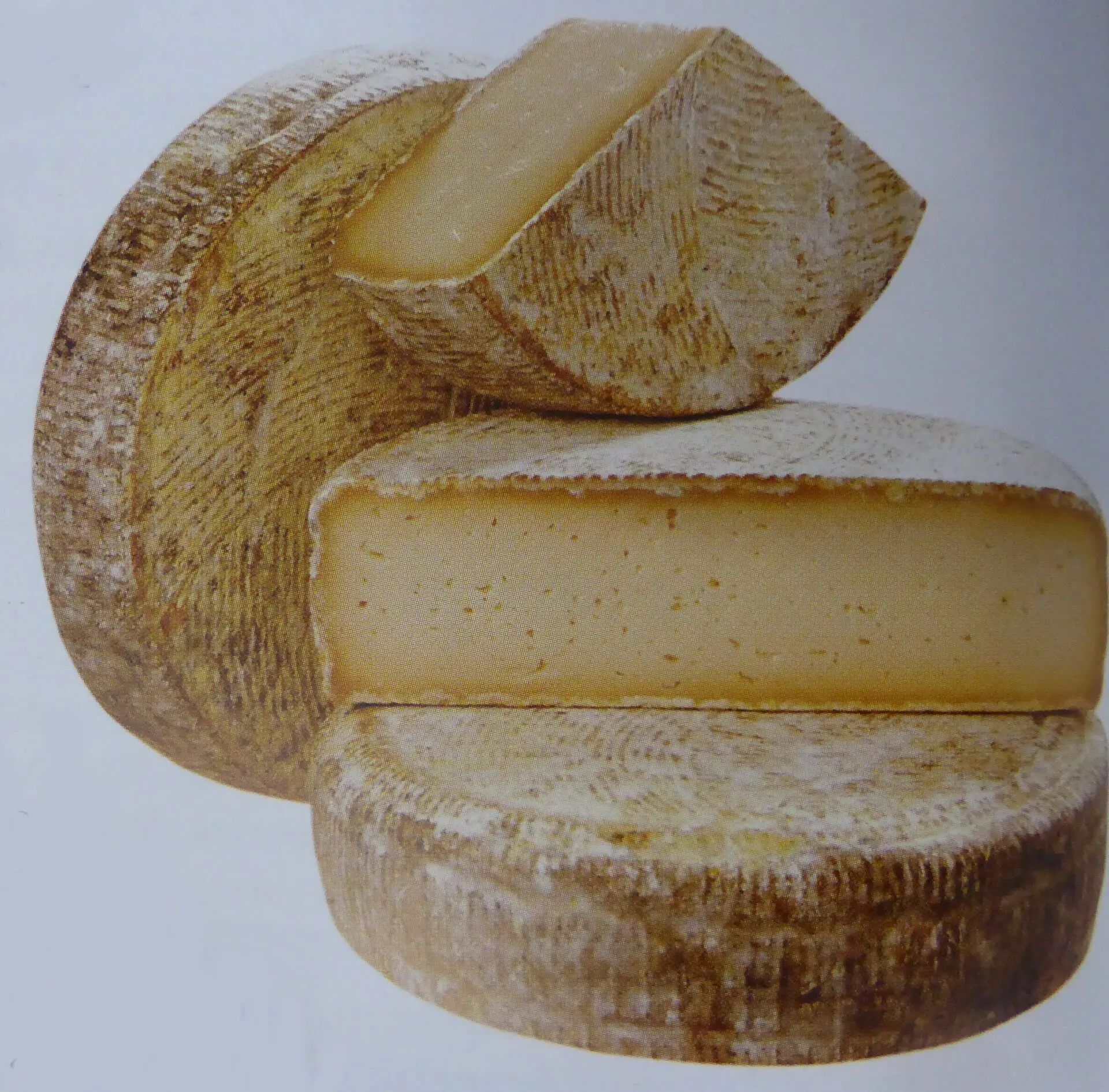 Toma di Triora