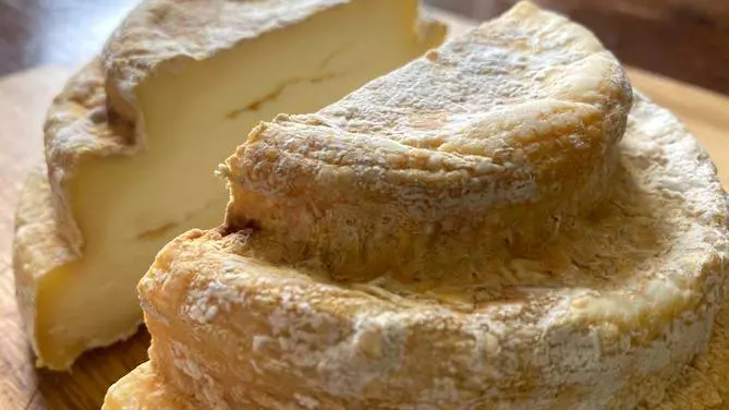 Montebore, benvenutoindiretta,