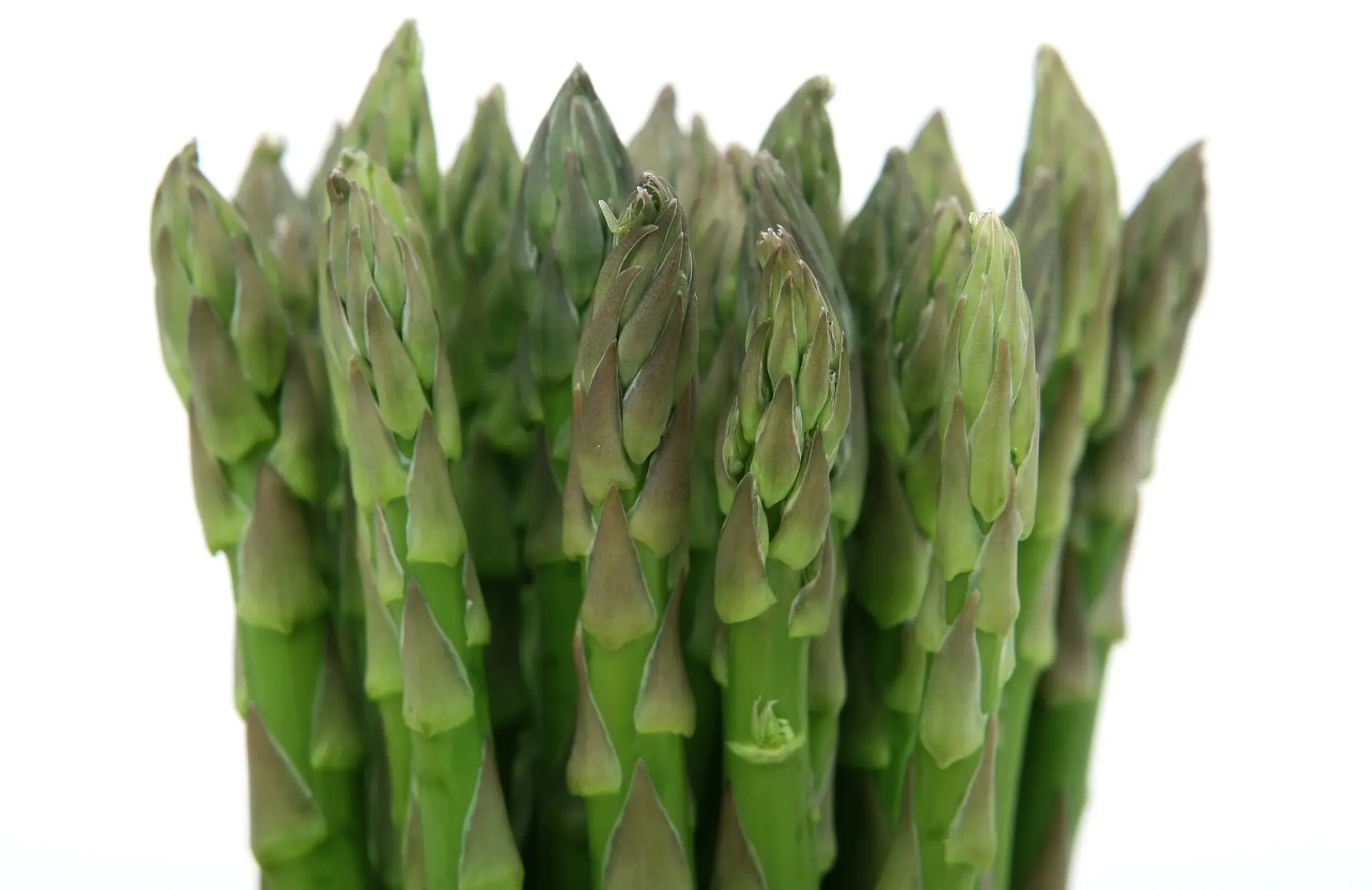 asparagi all'agro, aprile frutta e verdura,