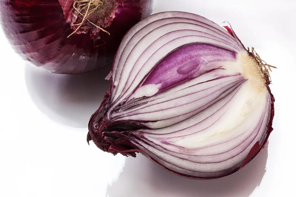 cipolla rossa