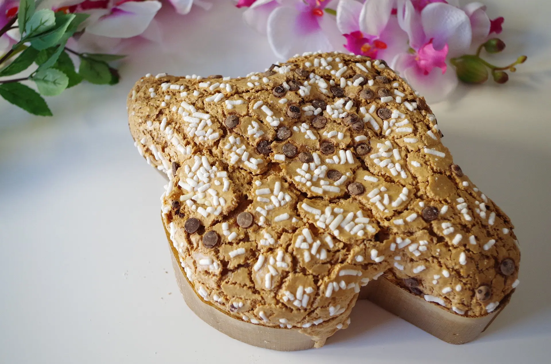 colomba