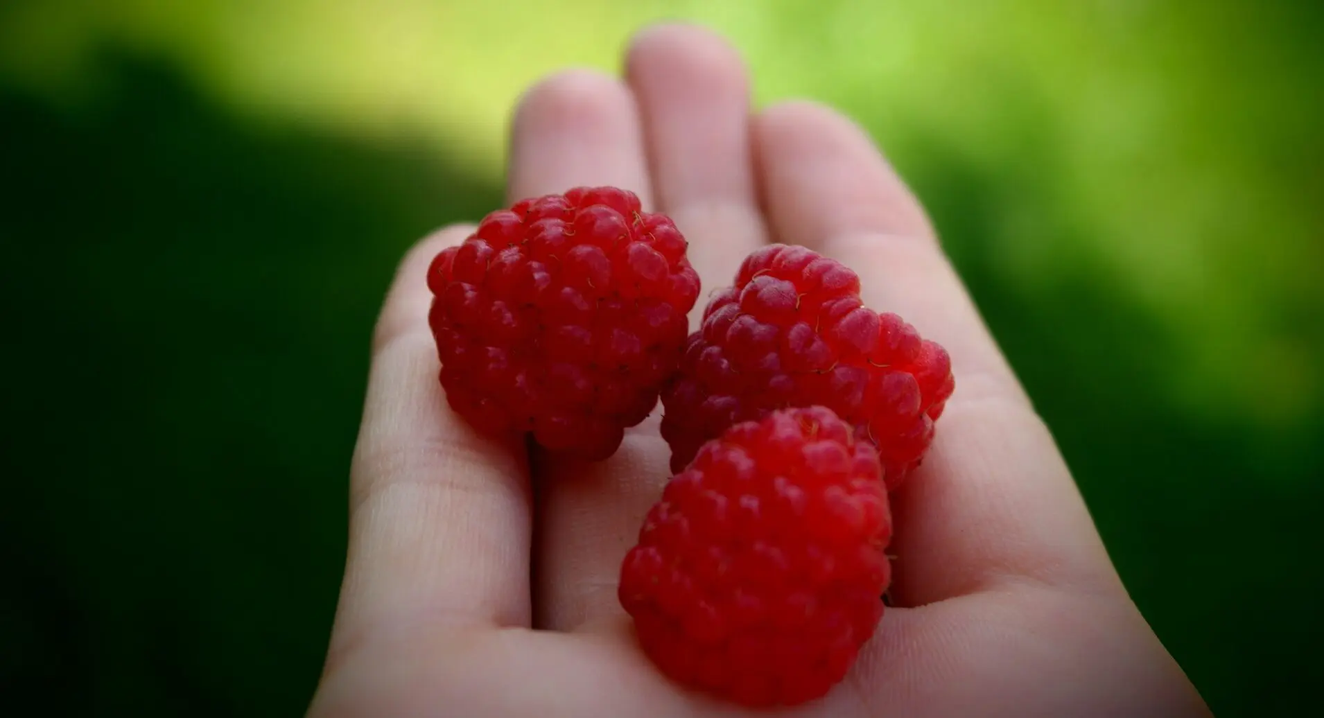 frutta a tavola