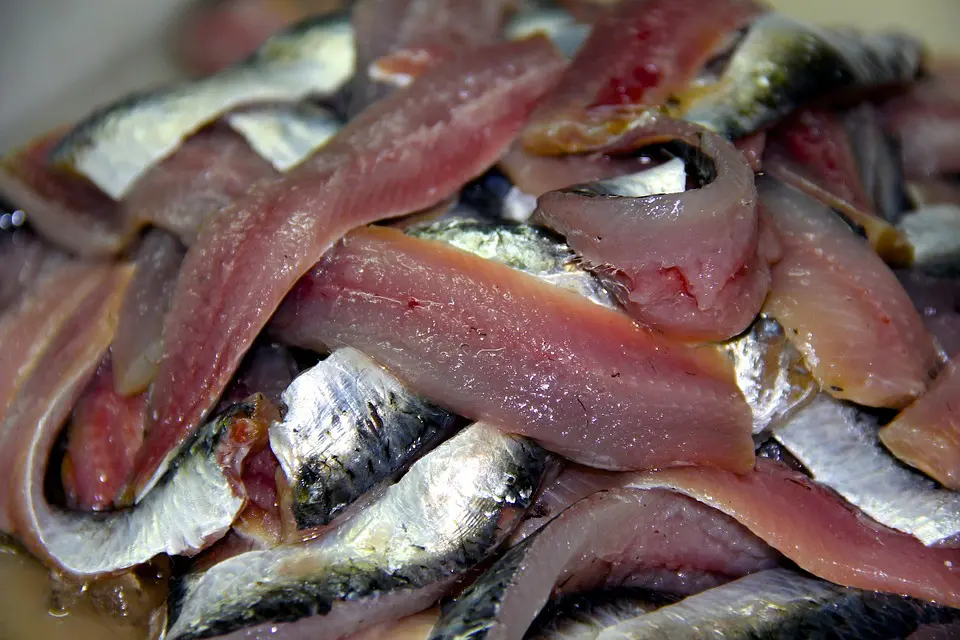 sardine ripiene, machetto,