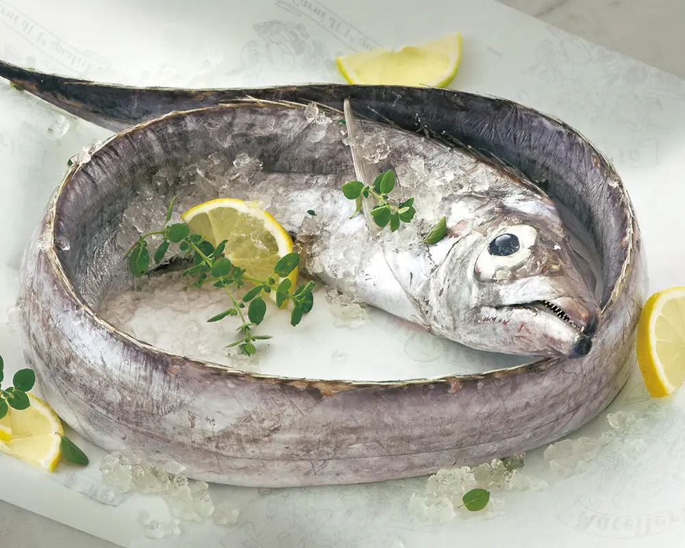 Pesce lama