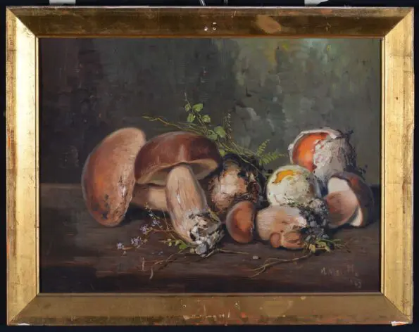 Funghi
