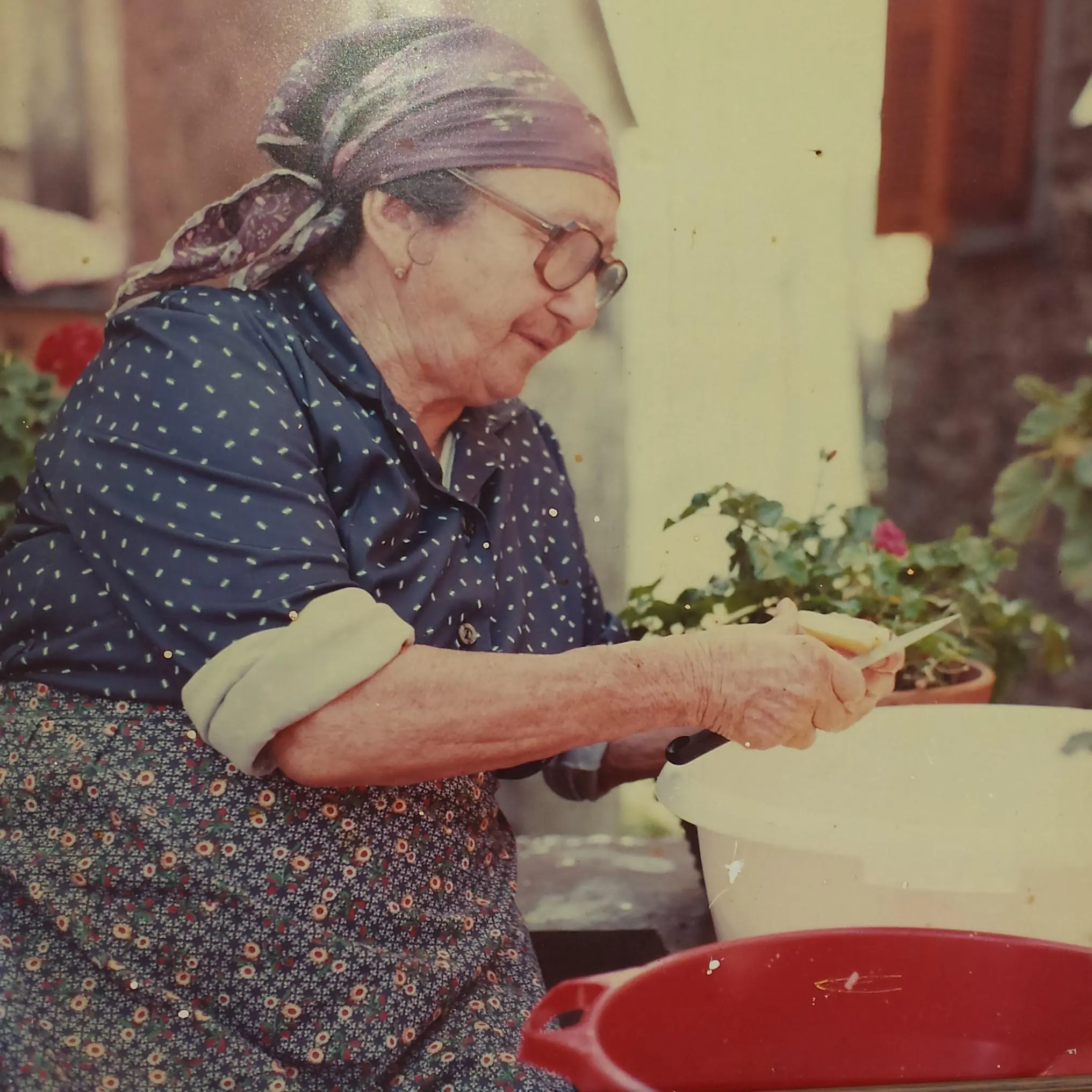 La nonnina di carpenissone