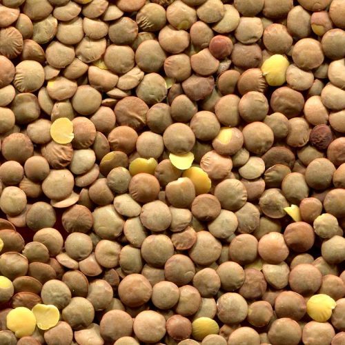lenticchie