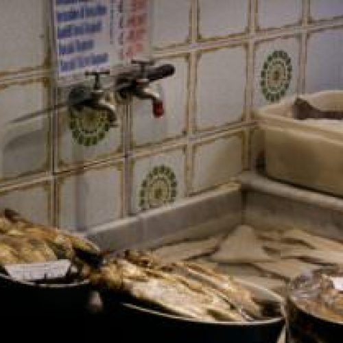stoccafisso e bacilli, polenta con lo stoccafisso, Stoccafisso accomodato, stoccafisso in zimino