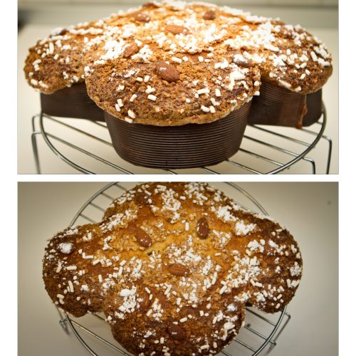colomba pasquale