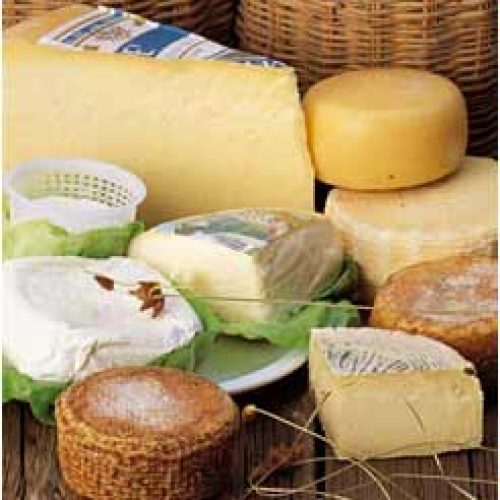 formaggi liguri